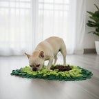 Bouledogue Français utilisant le tapis de fouille avocat CoconPattes, idéal pour ralentir l'ingestion des croquettes et procurer une stimulation mentale anti-stress