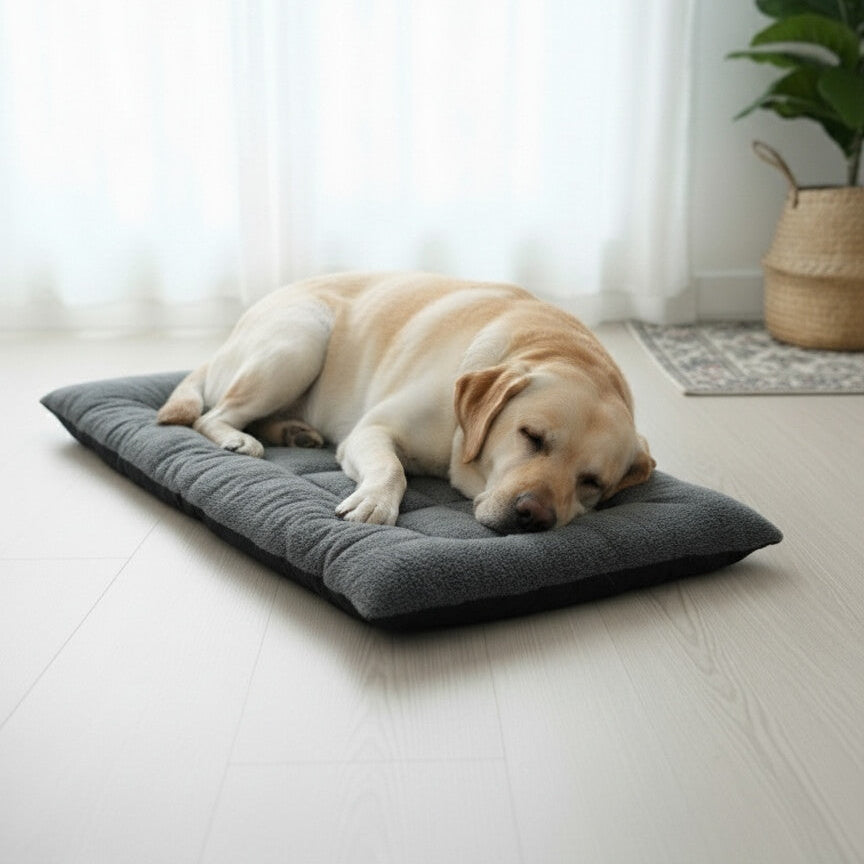 Labrador crème dormant confortablement sur un lit pour chien CoconPattes gris, illustrant la taille adaptée et le soutien orthopédique pour grands chiens en intérieur.